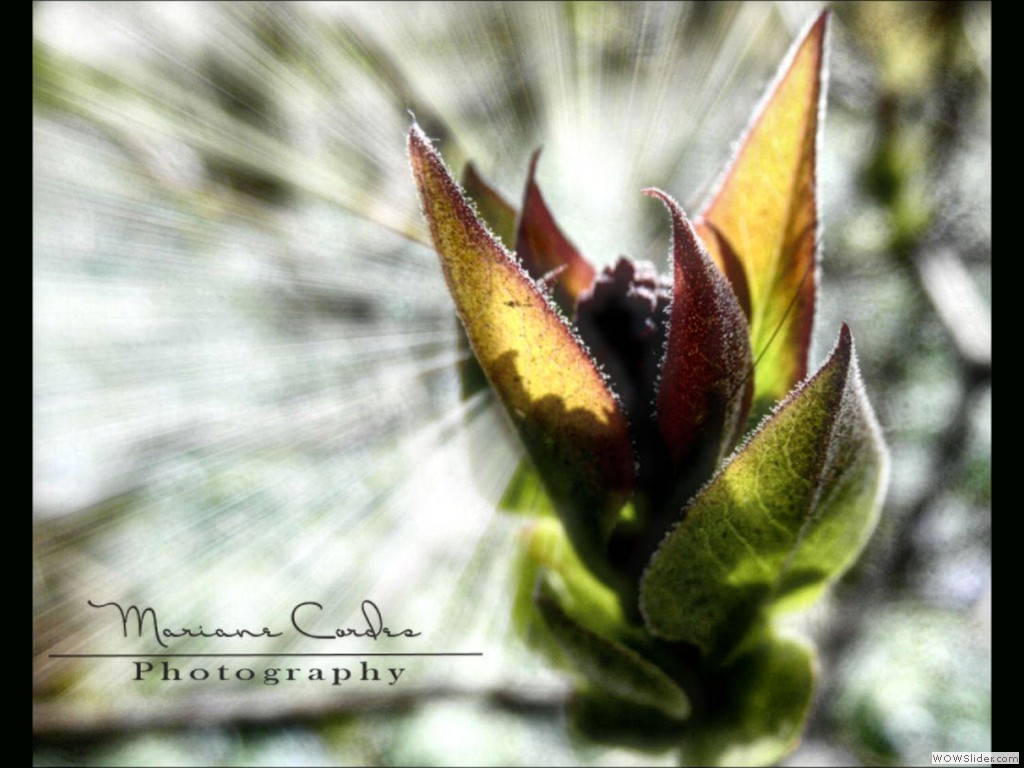 MC_Spring-is-here_2012
