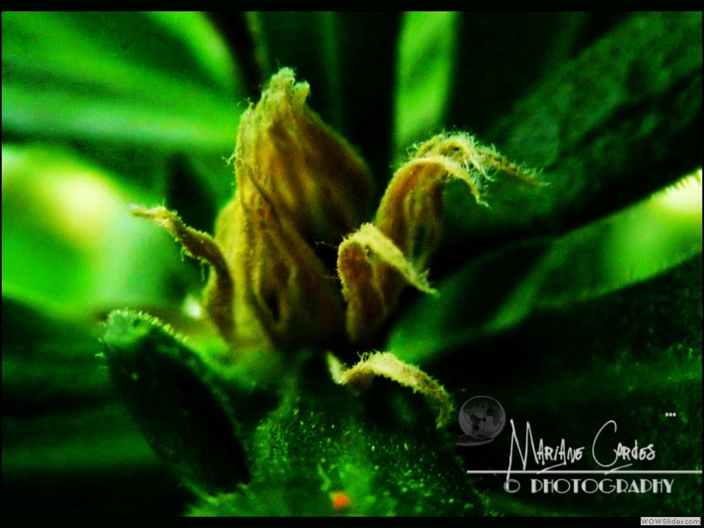 P6104576