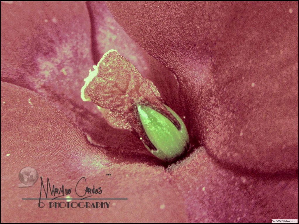 P6305222